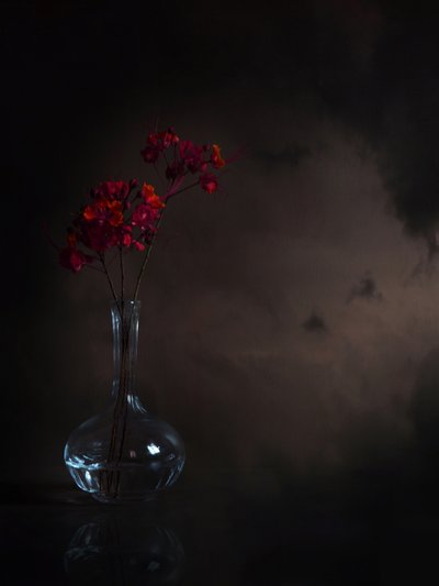Stämningsfulla röda blommor av Margaret Halaby