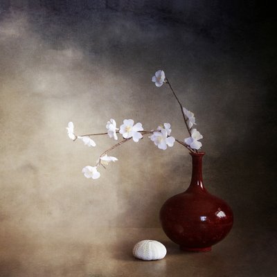 Fridfulla körsbärsblommor av Margaret Halaby