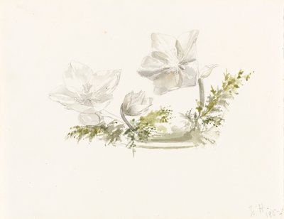 Studie av ett blomsterarrangemang (grafit, akvarell) av Margaret Louisa Herschel