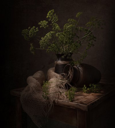 Mörkt botaniskt stilleben av Margareth Perfoncio