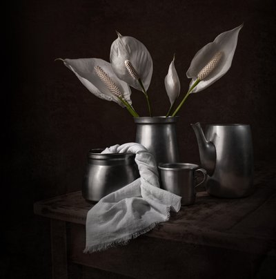 Eleganta fredsliljor av Margareth Perfoncio