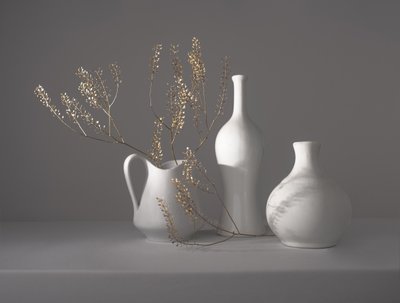 Minimalistiskt botaniskt stilleben av Margareth Perfoncio