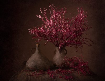 Moody Magenta-grenar av Margareth Perfoncio
