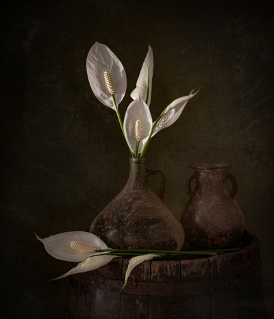 Moody-fredsliljor av Margareth Perfoncio