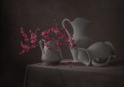 Rosa blommor och vita kannor av Margareth Perfoncio