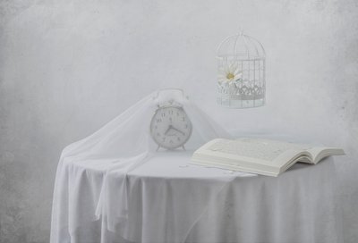Serene Clock – Bokformad fågelbur av Margareth Perfoncio