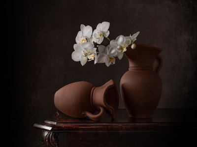 Stilleben med vita orkidéer av Margareth Perfoncio