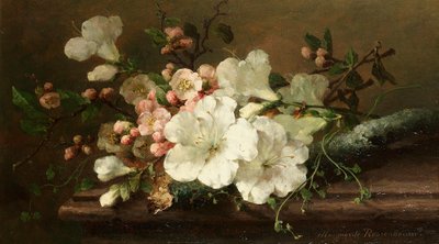 Margaretha Roosenboom - Stilleben med blomma av Margaretha Roosenboom