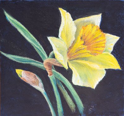 Skönheten med en påsklilja, 2021 (pastell) av Margo Starkey