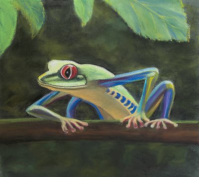 Trädgroda, 2020 (pastell) av Margo Starkey