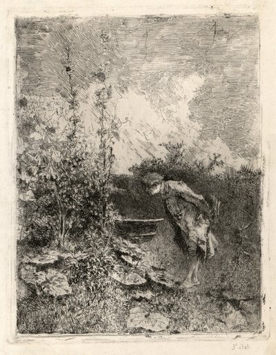 Botanikern av Marià Fortuny Marsal