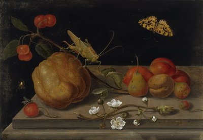 Stilleben med frukt, en gräshoppa och en fjäril, mellan 1670 och 1680. av Maria Sibylla Merian