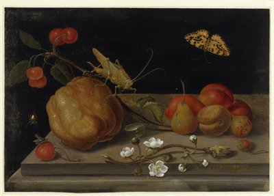 Stilleben med frukter, en gräshoppa och en fjäril av Maria Sibylla Merian