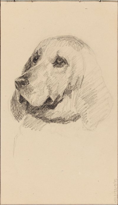 Huvud av en hund av Maria Wiik