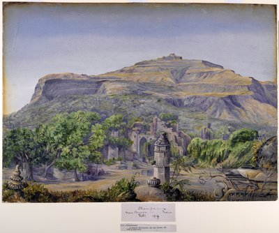 Champaneer, nära Baroda, Indien av Marianne North