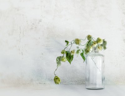  av Marie-anne Stas