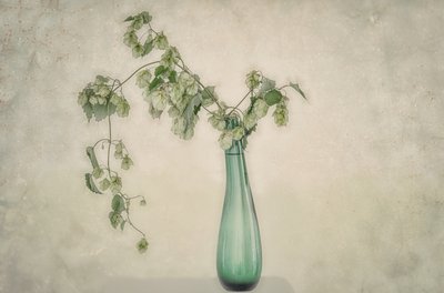 Stilleben med gröna humleblommor av Marie-anne Stas