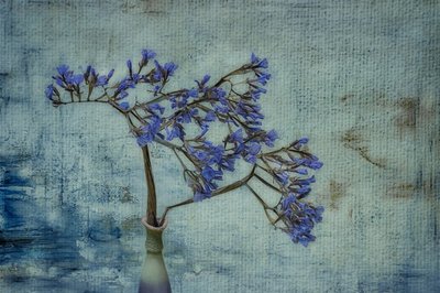 Vasa i rustik stil med blått blommönster av Marie-anne Stas