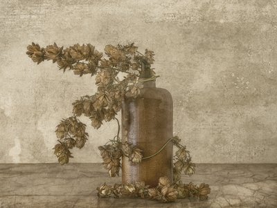 Stilleben med rustika humleblommor av Marie-anne Stas
