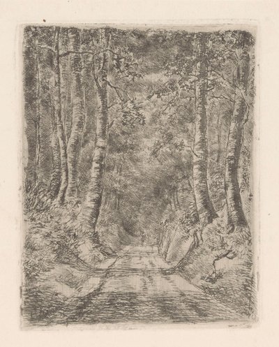 Skog längs en nedsänkt väg av Marie Adolphine van der Goes van Dirxland