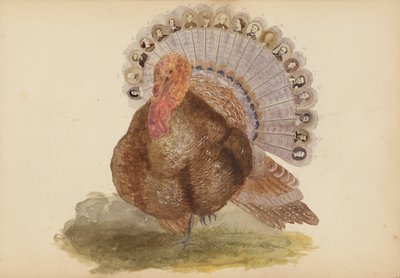 Madame B-albumet av Marie-Blanche-Hennelle Fournier