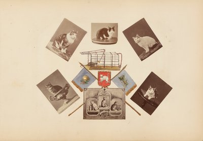 Madame B-albumet av Marie-Blanche-Hennelle Fournier