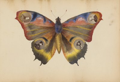 Madame B-albumet av Marie-Blanche-Hennelle Fournier