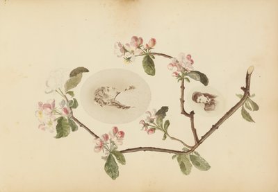 The Madame B Album, 1870-talet. av Marie-Blanche-Hennelle Fournier
