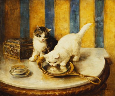 Feline Reflections av Marie Yvonne Laur