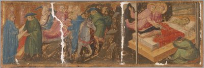 Scener från Legenden om Saints Cosmas och Damian av Mariotto di Nardo