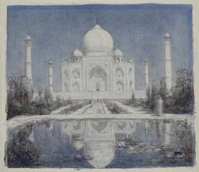 Taj Mahal i månsken av Marius Bauer