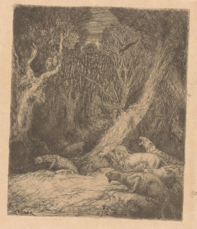 Vilda djur i skogen av Marius Bauer