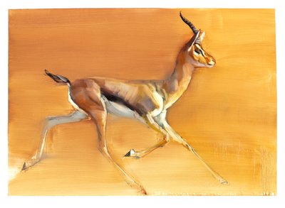 Arabisk gasell, 2010 (olja på papper) av Mark Adlington