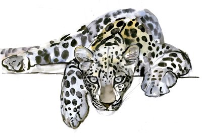 Arabisk leopard, 2008 av Mark Adlington