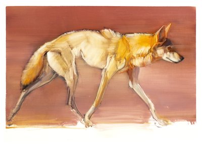 Arabian Wolf, 2010 (olja på papper) av Mark Adlington