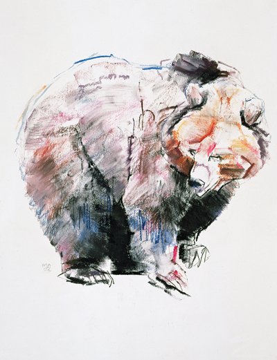 Björn (charcoal und conte på papper) av Mark Adlington