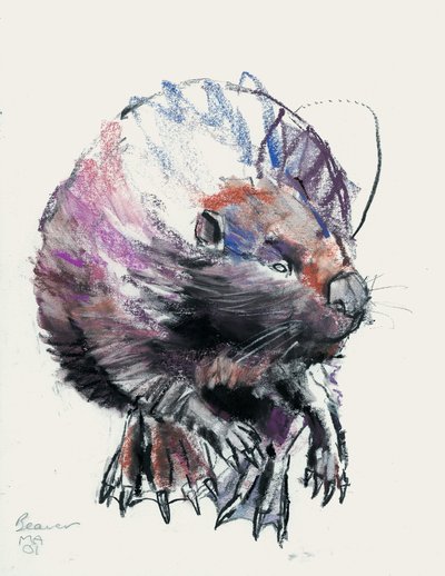 Bäver, 2001 (charcoal und conte på papper) av Mark Adlington