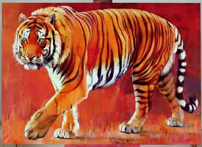 Bengalisk tiger av Mark Adlington