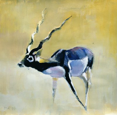 Black Buck, Velavadar, 1997 (bland media på papper) av Mark Adlington