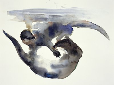 Uppvaktning (akvarell på papper) av Mark Adlington