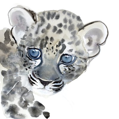 Cub, 2015, (akvarell på papper) av Mark Adlington