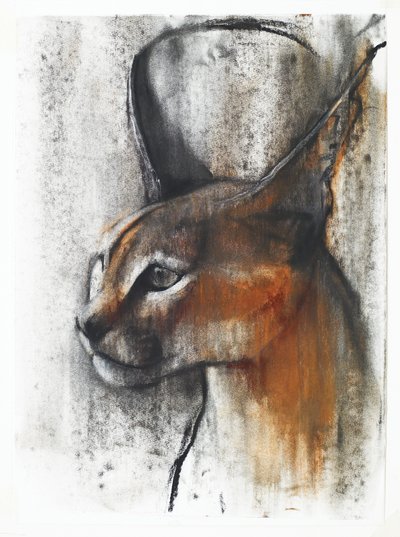 Egyptisk (Arabisk Caracal), 2009 (conte und charcoal på papper) av Mark Adlington