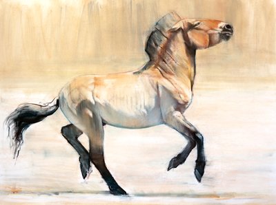 Equus (Przewalski), 2014, (pastell och träkol på papper) av Mark Adlington