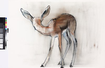 Gazelle Fawn (Arabian Gazelle) 2010 (olja på papper) av Mark Adlington