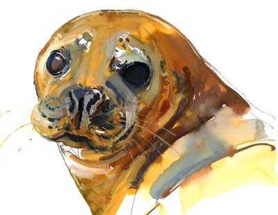 Ginger Pup, Westcove, 2023 av Mark Adlington