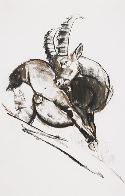 Repa (kol und conte på papper) av Mark Adlington