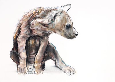 Hyaena Pup (profil), 2019 (conté och kol på papper) av Mark Adlington