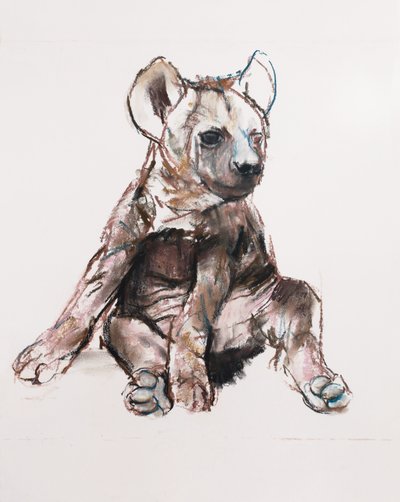 Hyaena Pup (sitter upp), 2019 av Mark Adlington