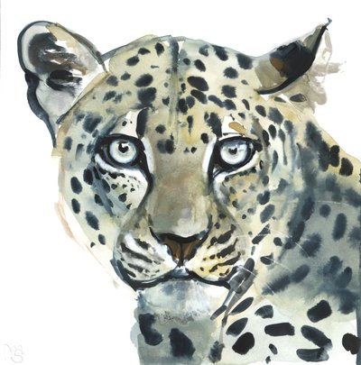 Leopard, 2015, (akvarell på papper) av Mark Adlington