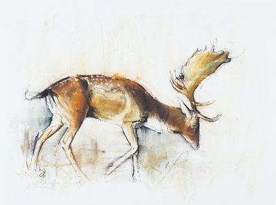 Pisanello Buck, 2006 (träkol och conte på papper) av Mark Adlington